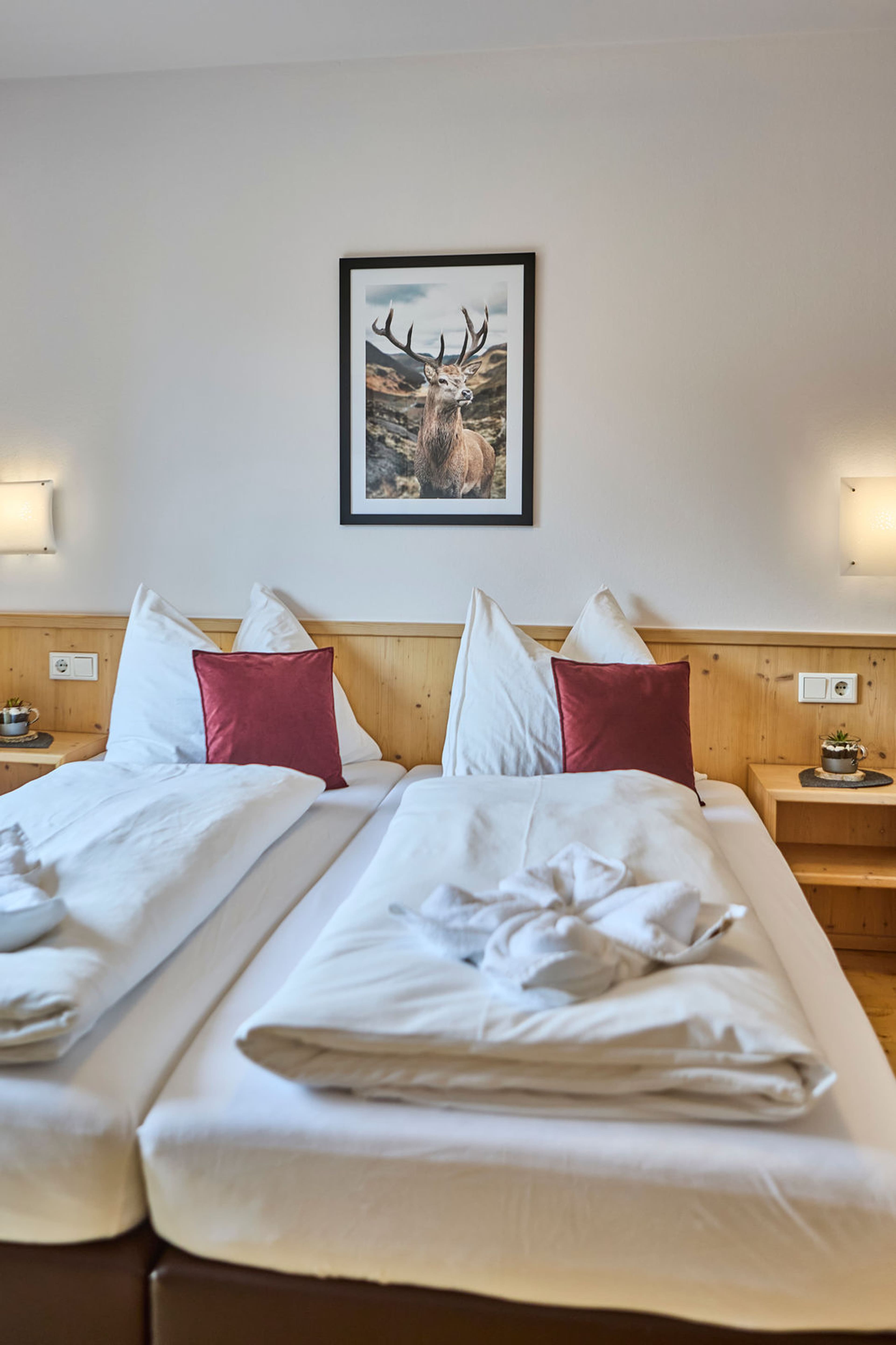 Platzhirsch - Dreibettzimmer Kat. C - inkl. Frühstück - Image 4