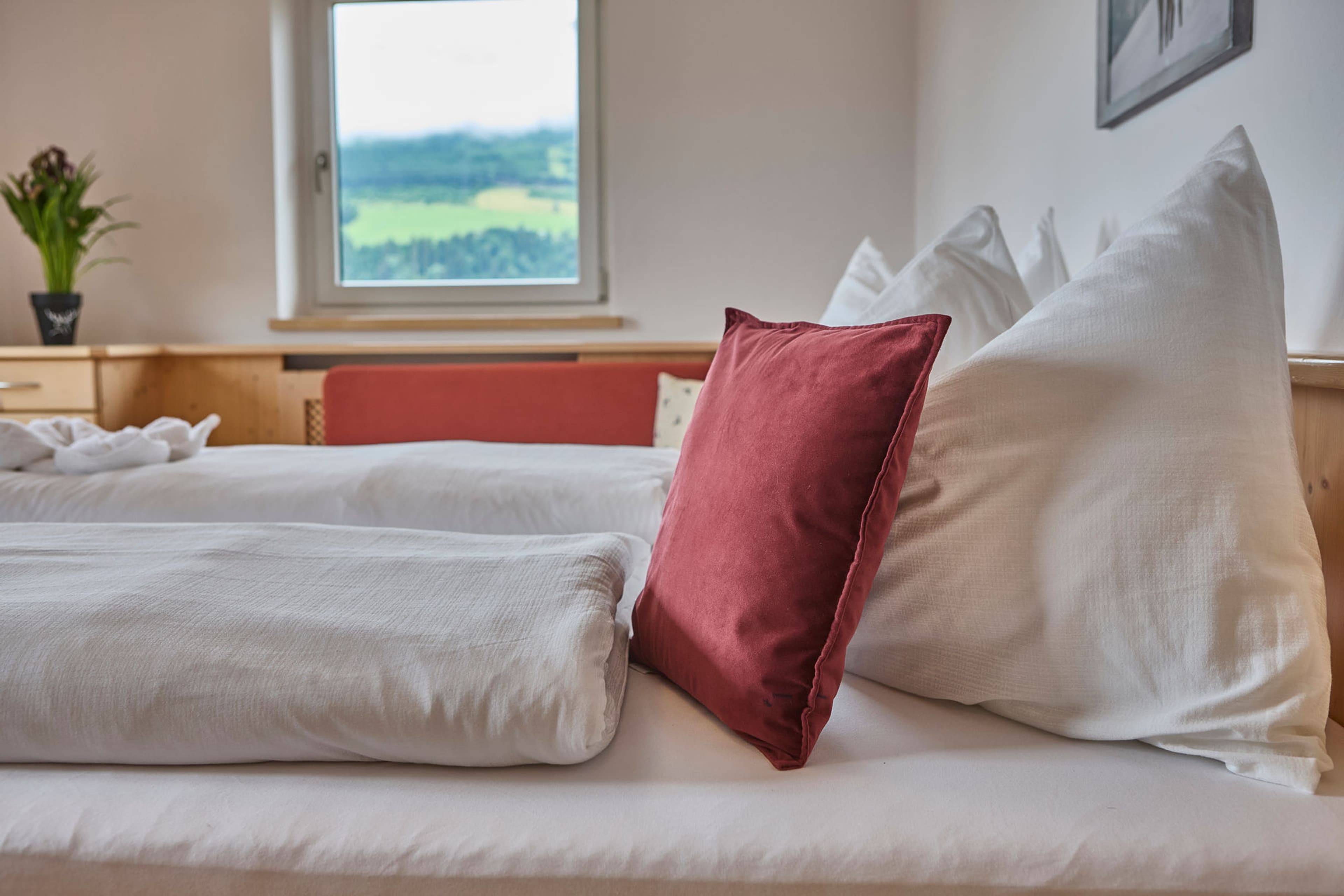 Platzhirsch - Dreibettzimmer Kat. D - inkl. Frühstück - Image 5