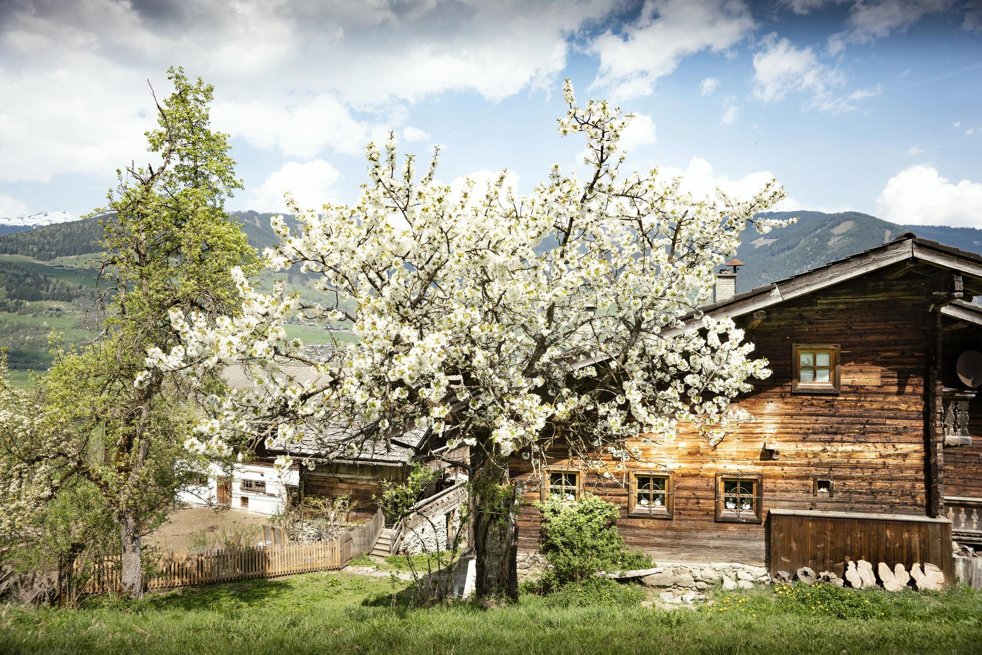 Picture of the accommodation