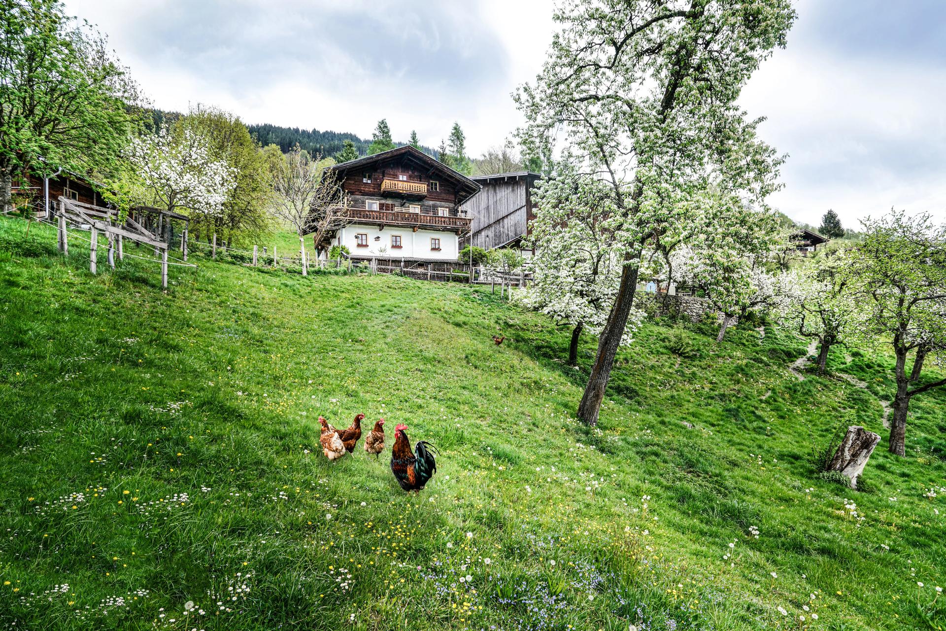 Picture of the accommodation
