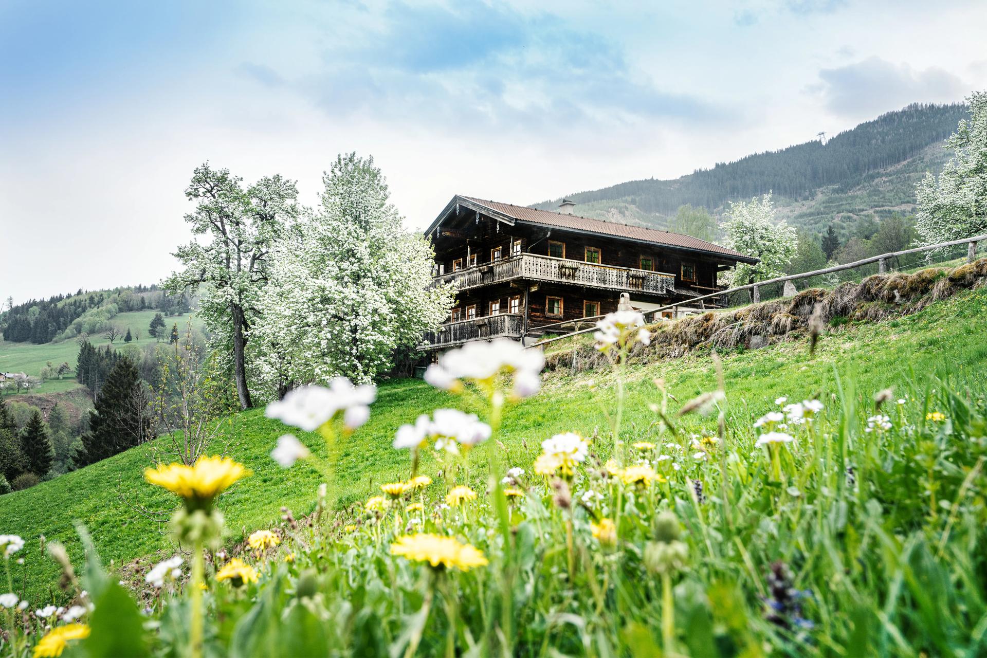 Picture of the accommodation