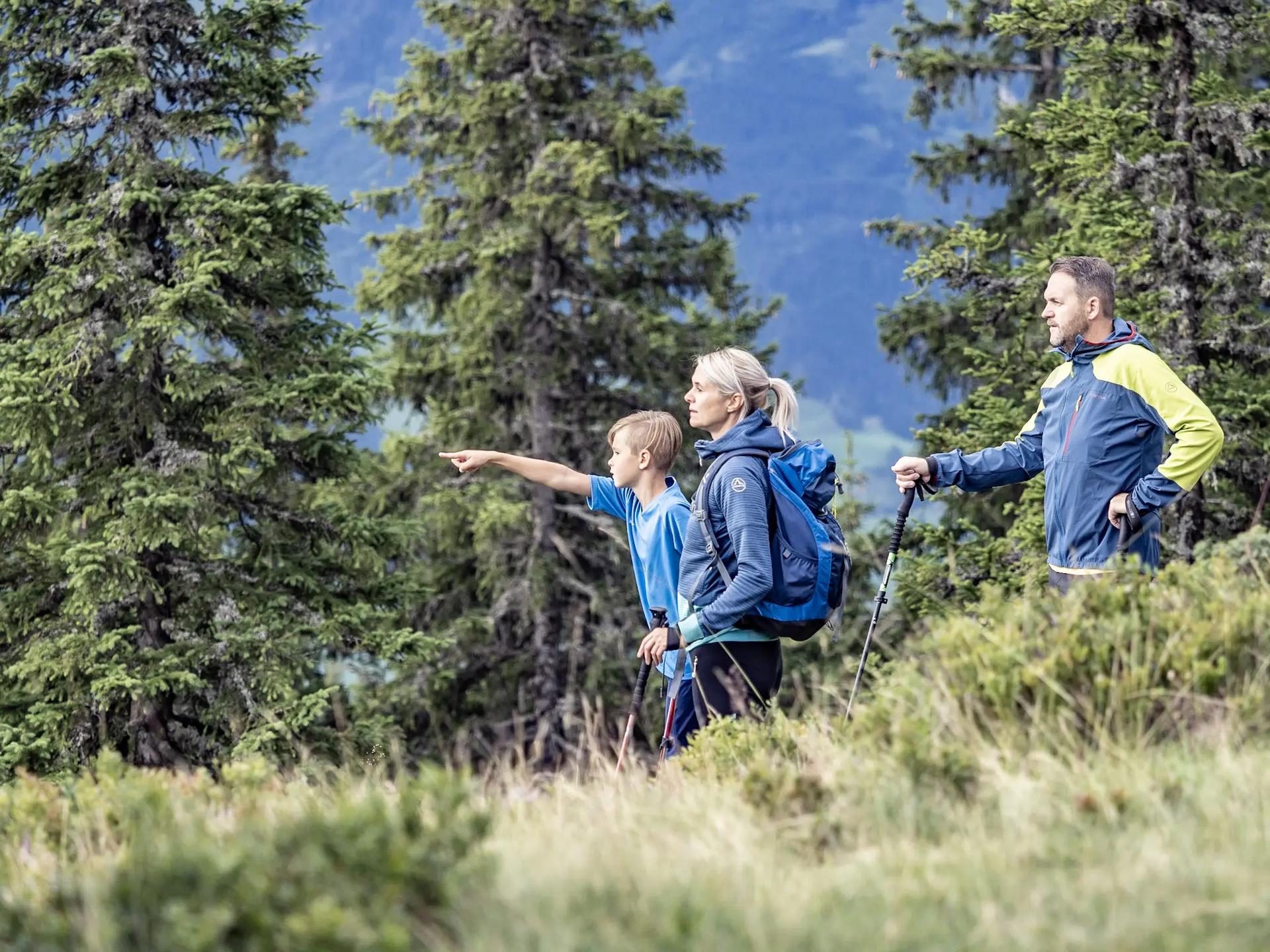 Picture of the accommodation