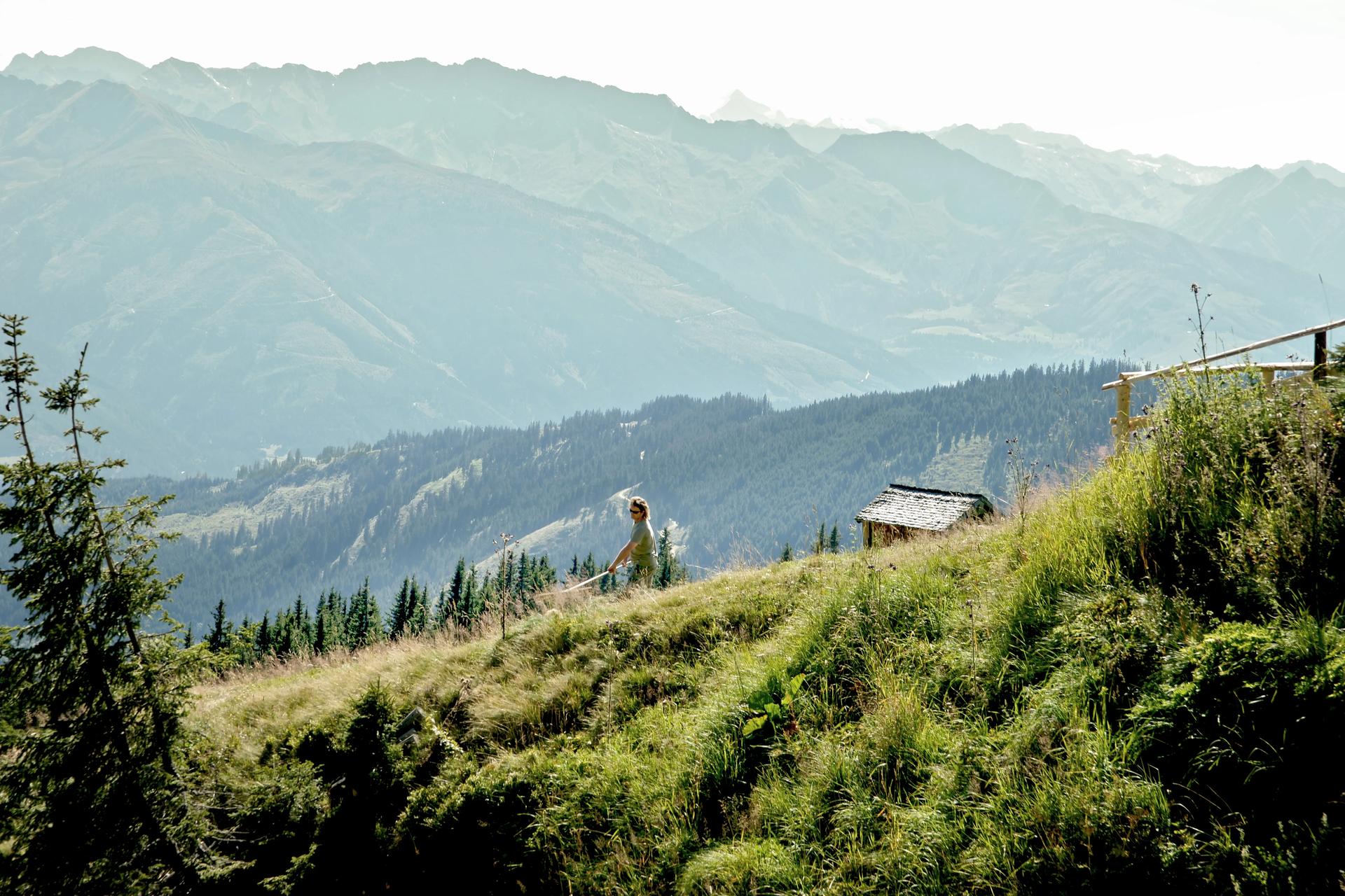 Picture of the accommodation
